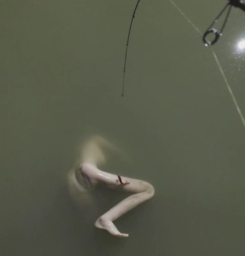 Chinese fishermen showing his catch of the day 