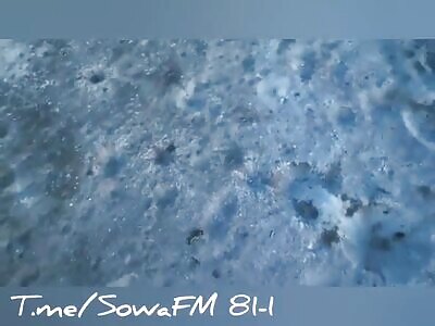 Loved This New Video Game!