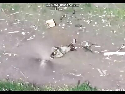 Swarm of drones destroyed a group of Russians