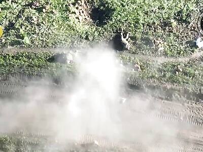 Orcs on a Stroll Jumped by FPV, Suffer Slow Death