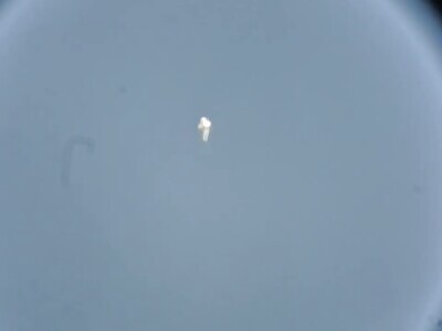 Flying Humanoid Witness 3