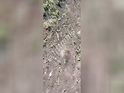 Russian soldiers find 8 rotten Ukrainians.