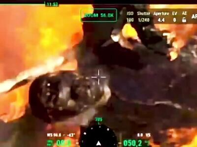 Yuri & Friends BBQ'ed Somewhat Beyond 'Well-done'