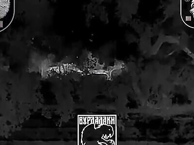 Dead Russians comp #16 (May 11, 2024)