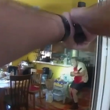 Bro Don't Mess Around with These Cops (Compilation)