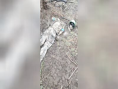 Ukrainian after scavengers eat his body.