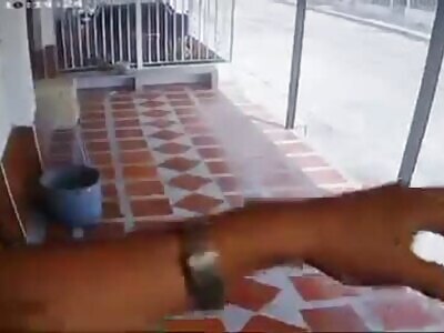 Policeman Gets Shot Dead By Sicario As He Leaves His House