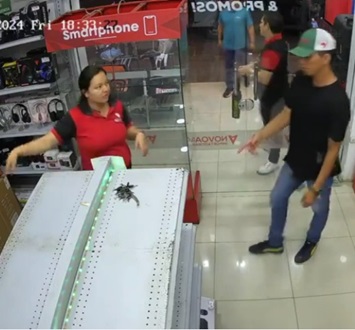 Sicario At Work In Ecuador (Multiple Angles)