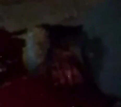 Another victim of Ecuadorian sicarios killed by headshot 