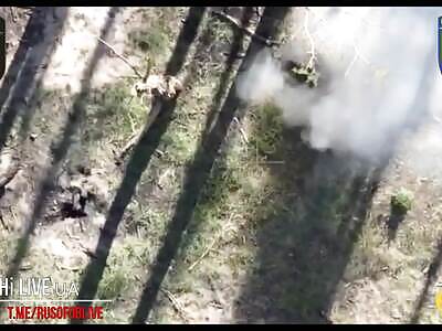 Wobbly Intestines—Drone Rips Open Russkie's Fat Belly