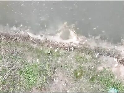 Swimming Lessons For Invaders