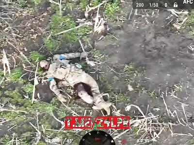 Russian drones destroying porks compilation