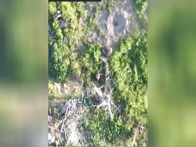 Bad time to stop playing dead