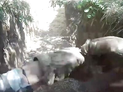 Russian soldier clears trench killing 2 Ukrainians 