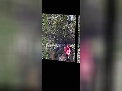 Surreal Head Burst—Orc's Neglected Brain Matter Mushed