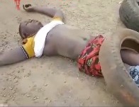 Thieves Burned in Zee Tires.