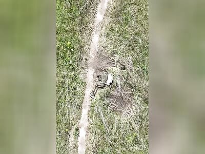 Invader Gets Head Dented