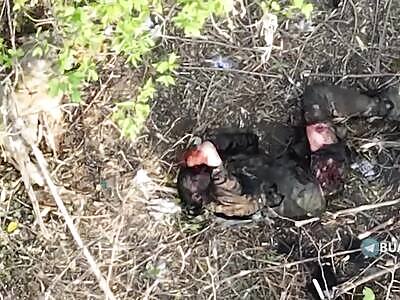 Russian invader chews his hand in agony