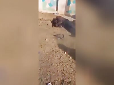 RSF militants kill civilian in Sudan