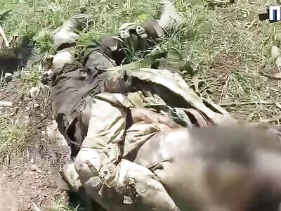 Destroyed Ukrainian assault convoy 