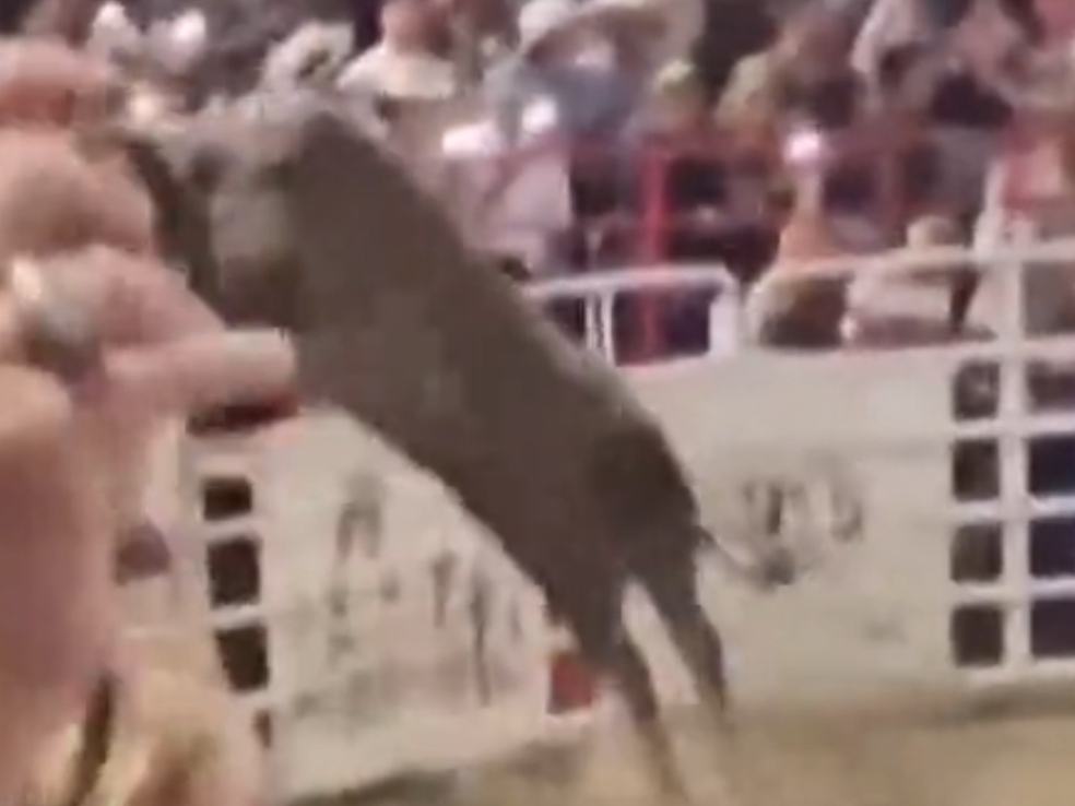 Bull Jumps Over Fence And Charges At Spectators (3 Injured)