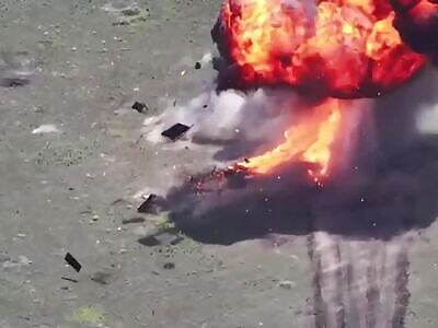 Charming 'Turtle Tank' Mayhem—FPV Hits Sweet Spot