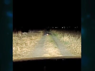 Interdimensional creature attacks man