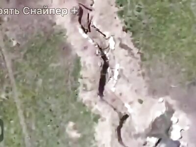 Naughty Zigger Gets A Spanking