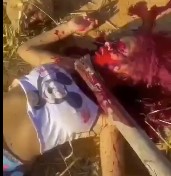 Woman Beaten to Death