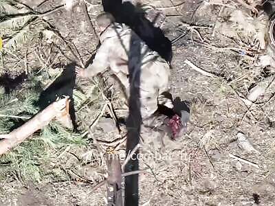 Crawlng Zigger Disassembled