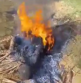 [BARBECUE TIME IN HAITI]gang member burned by angry crowds 