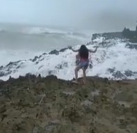 Chicks Learn the Ocean Doesn't Care about your Instagram Pics.