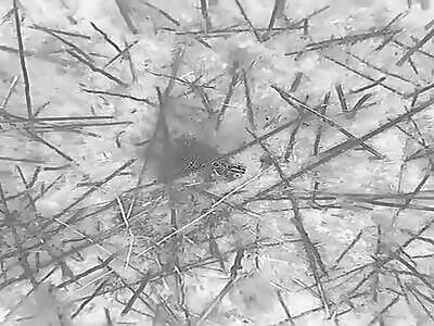 Dead Russians comp III (June 16, 2024)