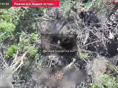 Dead Russians comp II (June 19, 2024)