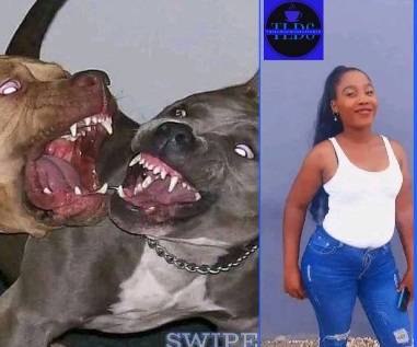 DAMN: Woman Killed by four Pitbull in Bloemfontein.