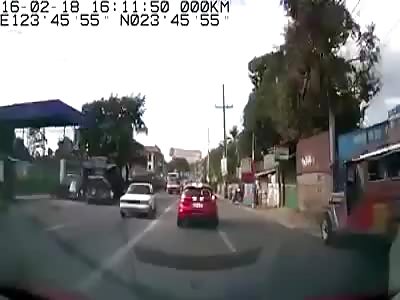 Small Dog Causes Serious Accident on the Road 