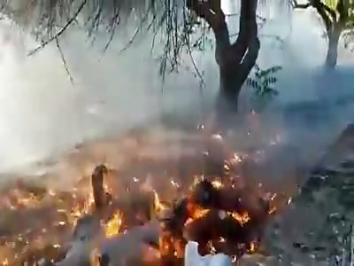 Man Burning on the Ground after a Work Accident 