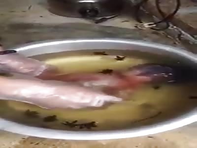 Bathing  Dead Fetus