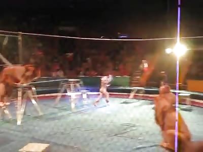 Lion Attacks Trainer Not Once But Twice During the Show