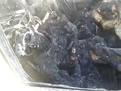 Roasted Bodies. (Accident Aftermath)