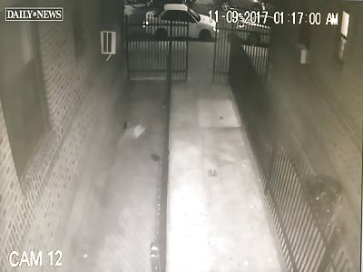 Man Falls Four Floors to his Death 'after being Caught Molesting Boy in New York