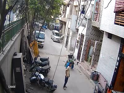 Pitbull Attacking Kids