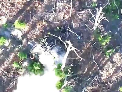 Dead Russians comp (June 21, 2024)