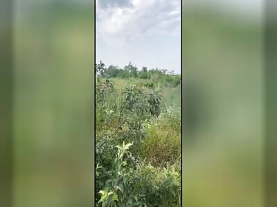 Russians kill group of Ukrainians 