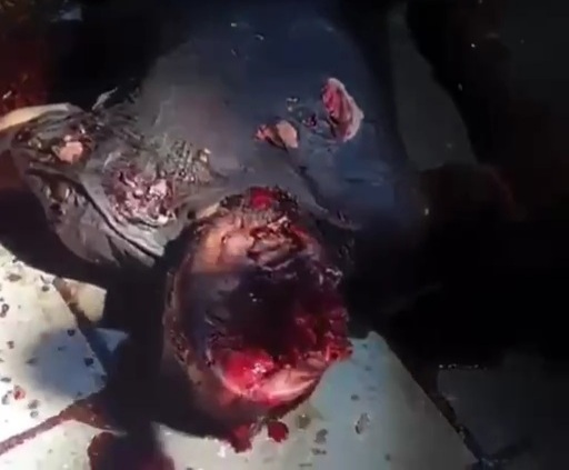 liquidated terrorists in Dagestan