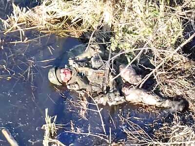 Kamikaze Assures No More Pole Dancing for Mr Vlad