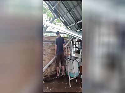 Hanger Found Drooling in Peace