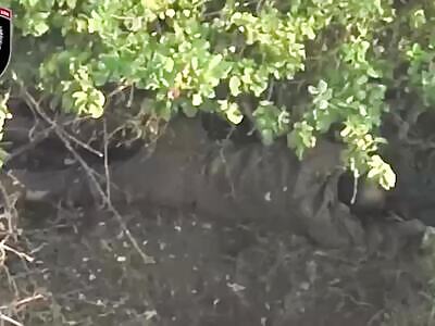 The Garbage Pile Army