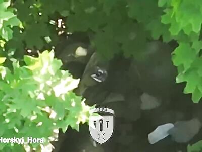 The last prayer of the occupier