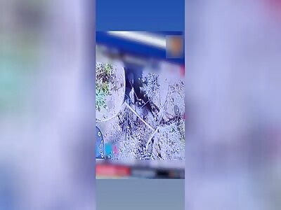 Another Russian has denazified himself